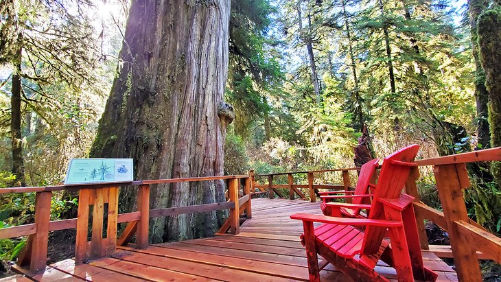 vancouver island tourist attractions