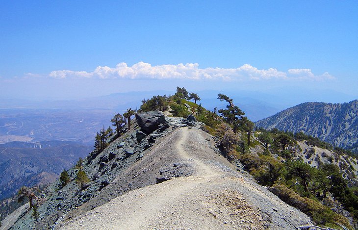 Devil's Backbone Trail on the Mt. Baldy Loop