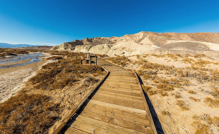 Salt Creek Interpretive Trail