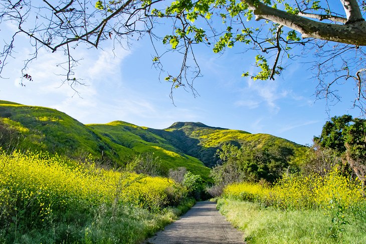 Solstice Canyon Trail