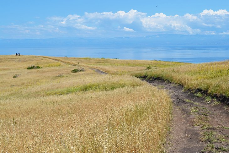 Santa Cruz Island, Channel Islands National Park