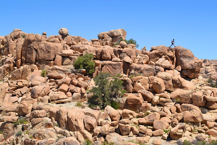 Joshua Tree National Park