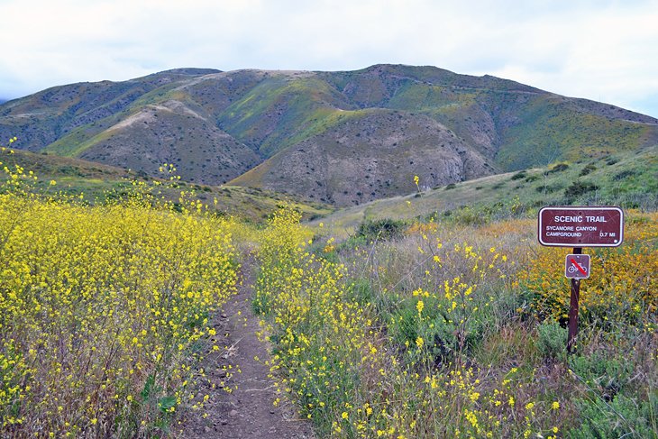 12 mejores parques nacionales en California