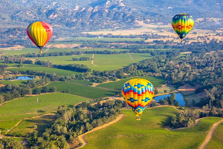 Balloons over the Napa Valley