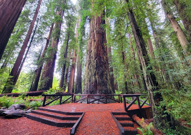 15 mejores parques estatales en California 15 mejores parques estatales en California