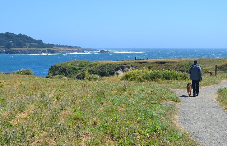 Mendocino Headlands State Park