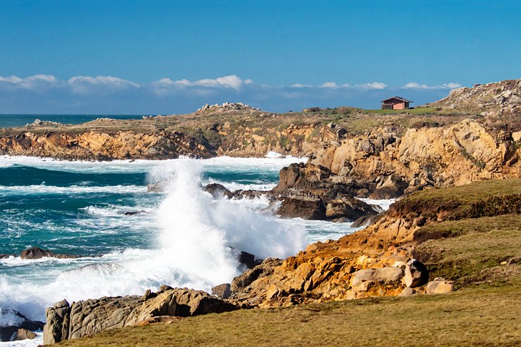 Salt Point State Park