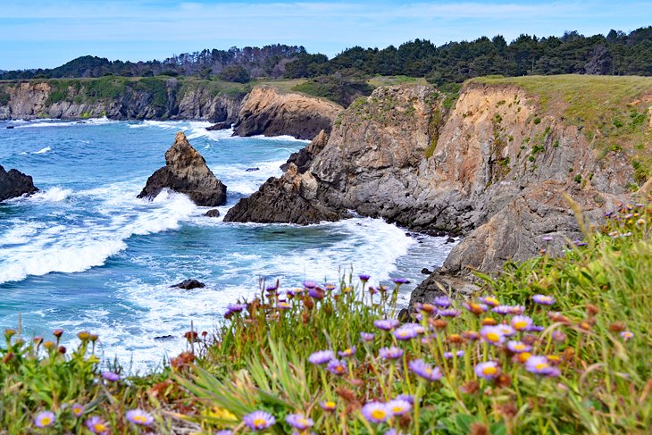 Jug Handle State Natural Reserve beach