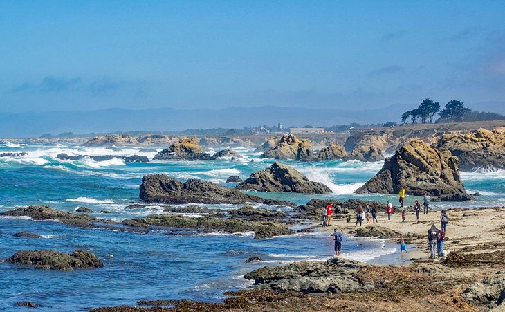 Road Trip To Incredible Glass Beach Delicious Pizza San Francisco Fort Bragg