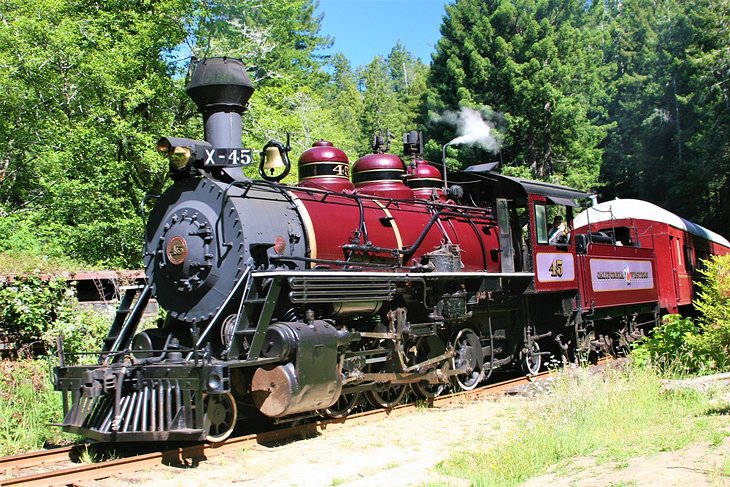 The Skunk Train