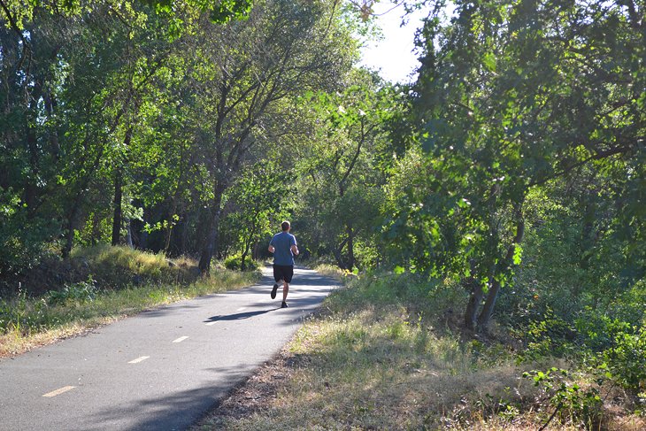 Sacramento River Trail