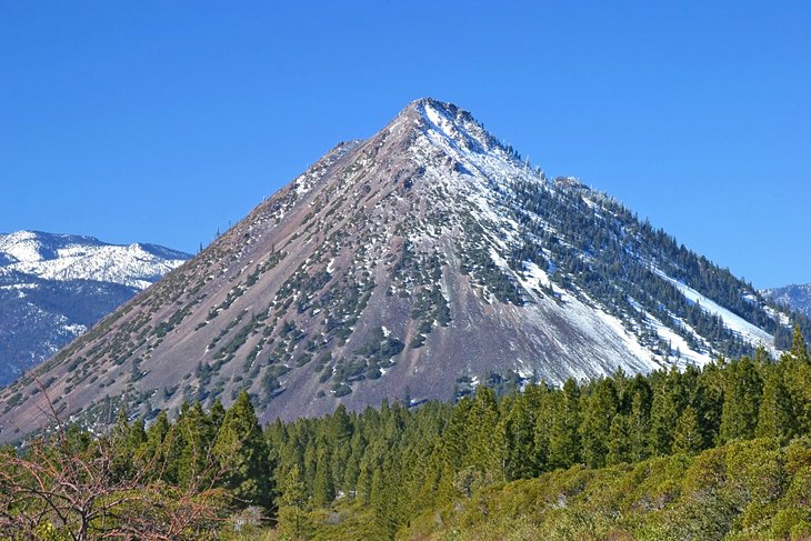 Shasta-Trinity National Forest