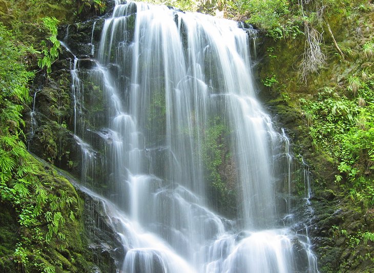 Berry Creek Falls