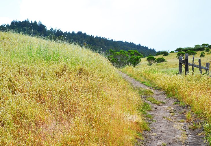 12 rutas de senderismo mejor valoradas cerca de Santa Cruz, CA 12 rutas de senderismo mejor valoradas cerca de Santa Cruz, CA