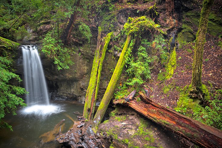 Sempervirens Falls on the Sequoia Trail