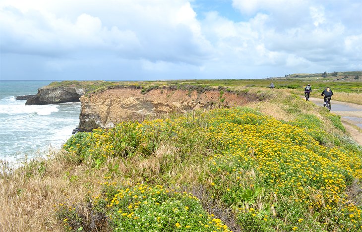 Old Cove Landing Trail