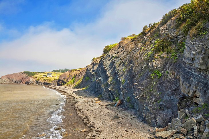 Joggins Fossil Cliffs