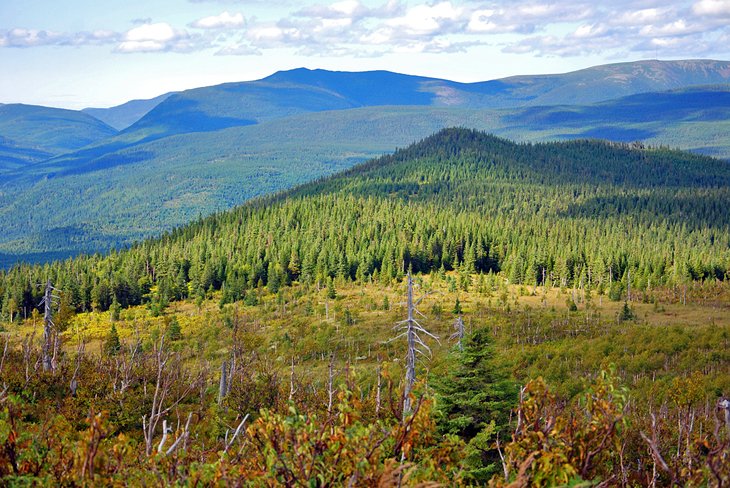 Parc National de la Gaspésie