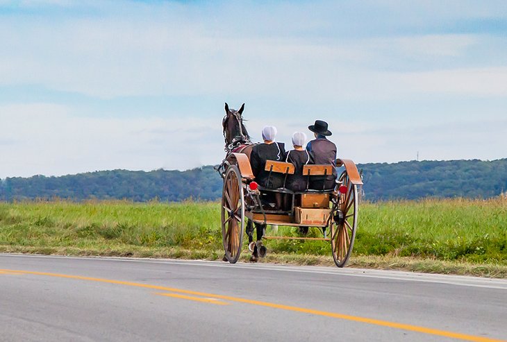 Horse and carriage in Pennsylvania Dutch Country