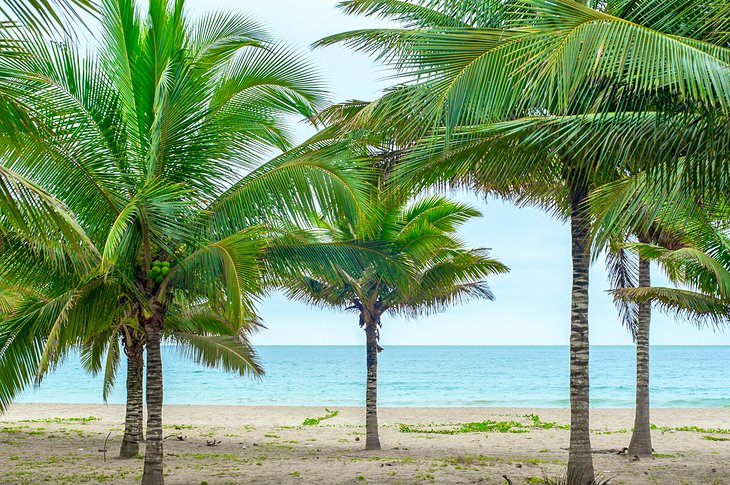 Puerto Lopez Beach