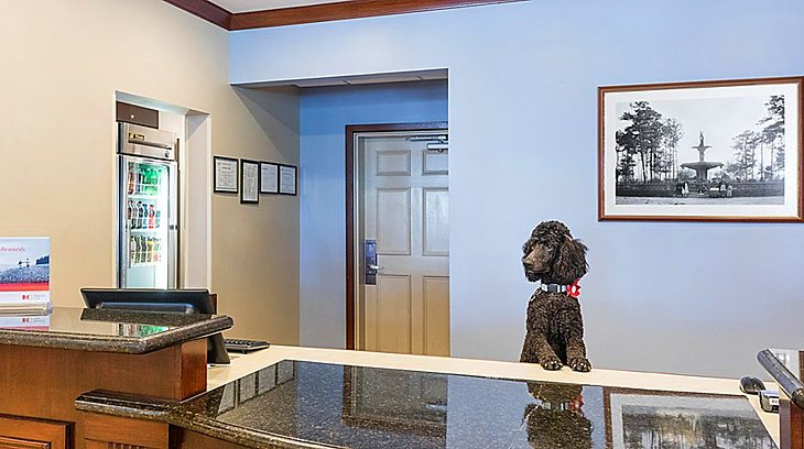 Source de la photo : quartier historique de Staybridge Suites Savannah