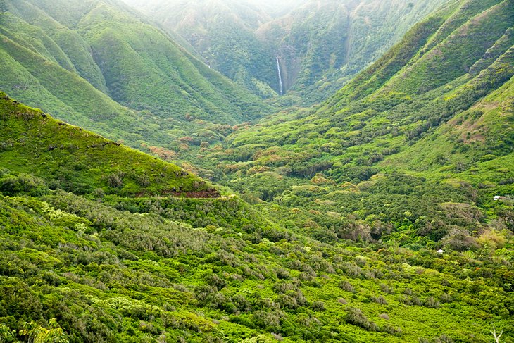 The lush Halawa Valley and Hipuapua Falls