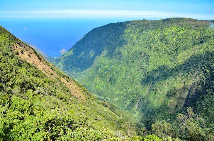 Waikolu Lookout in the Kamakou Preserve