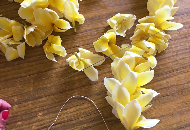 Lei making at Molokai Plumerias