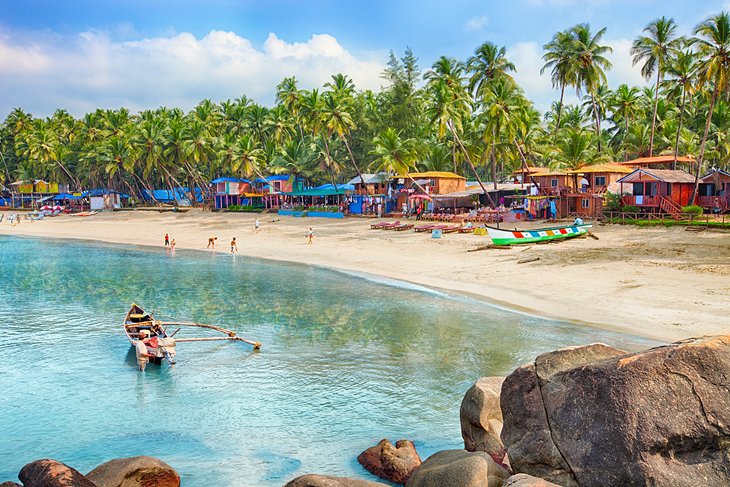 Palm-lined beach in Goa