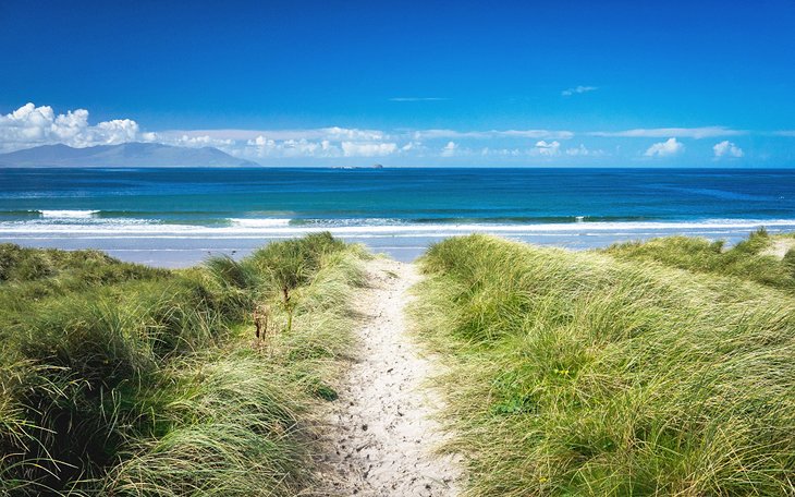 Pathway through the grass to Banna Strand