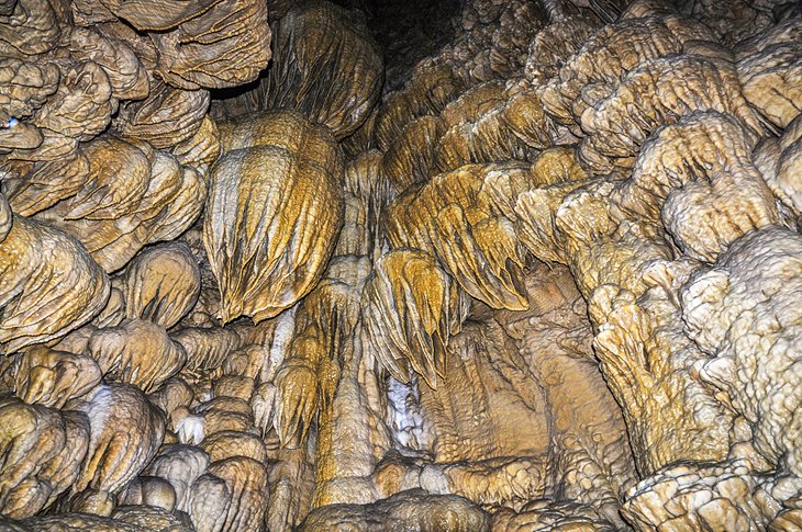 Formations on the cave walls at Oregon Caves National Monument