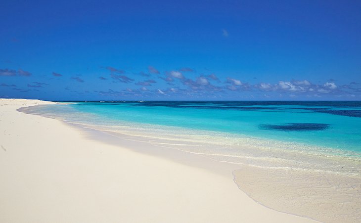 Pristine West Beach, Bird Island