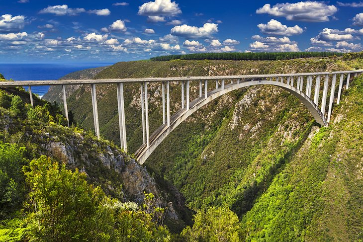 World's highest bungee jump at Bloukrans Bridge