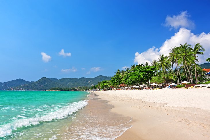 Resorts on palm-lined Chaweng Beach