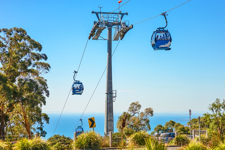 Arthurs Seat Eagle