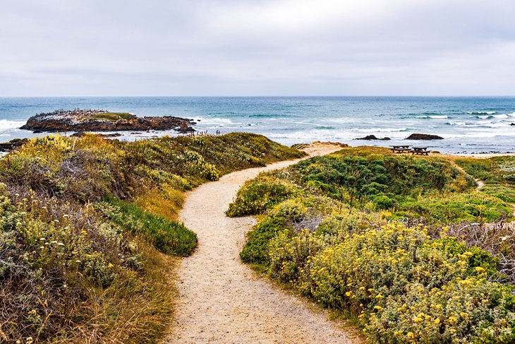 Pathway to Pescadero State Beach