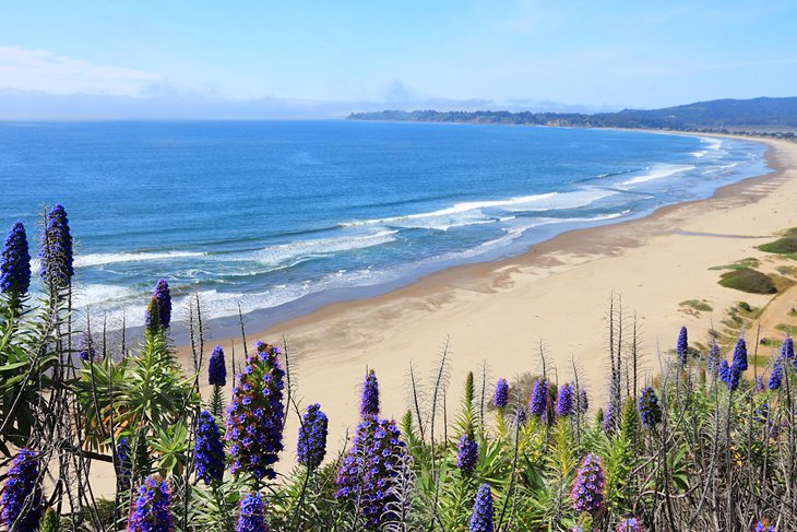 Stinson Beach in Marin County