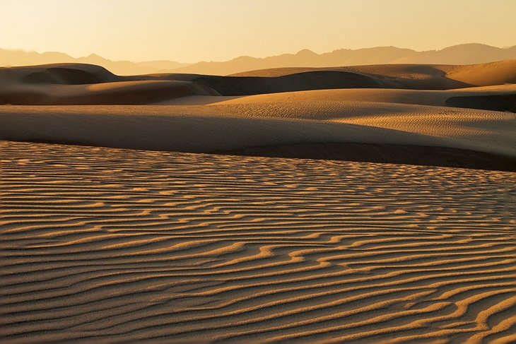 Rancho Guadalupe Dunes Preserve