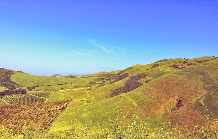 Hills around Nipomo