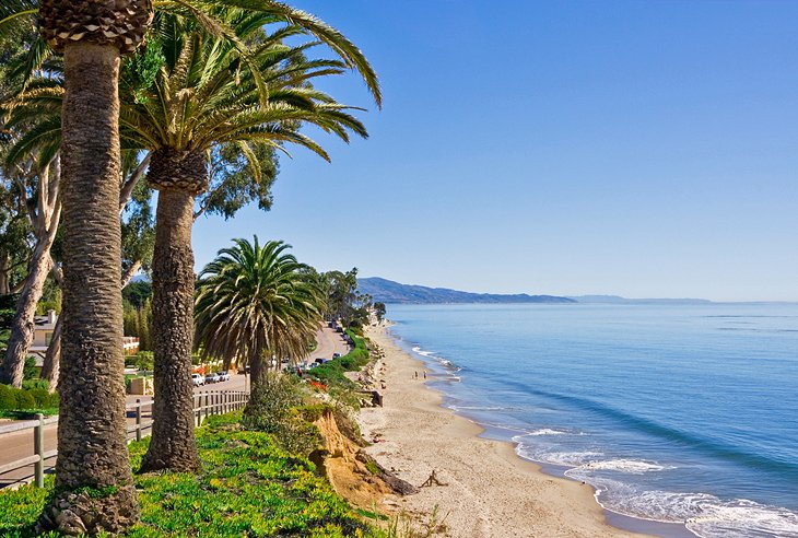 Palm trees along Butterfly Beach