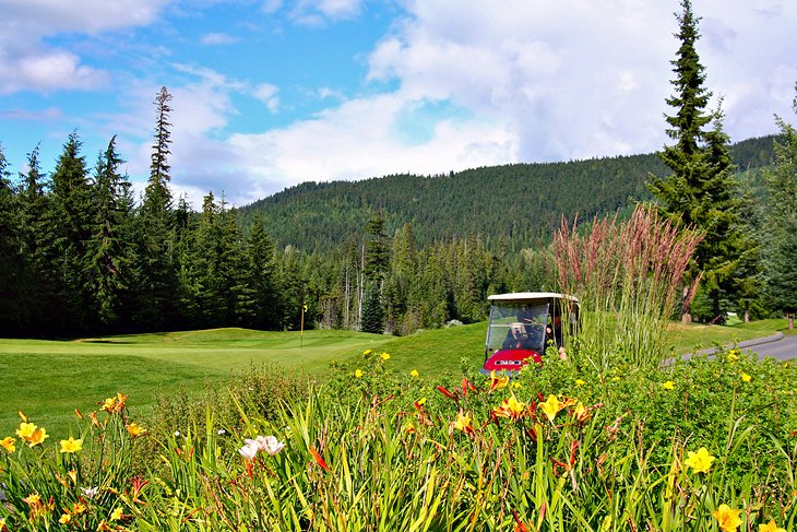 Summer at a Whistler golf course