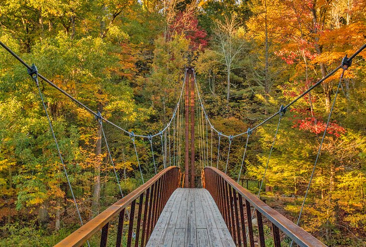 Henry David Thoreau Footbridge