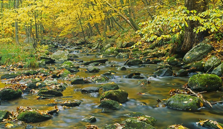 Macedonia Brook State Park