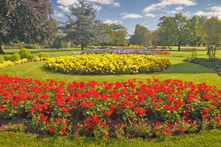 Blooming flowers in St. Nicholas' Park