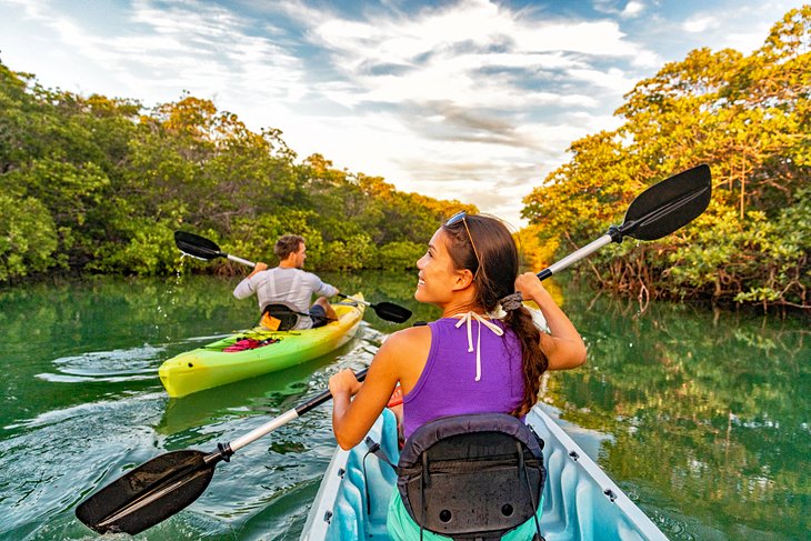 Kayaking tour in the mangroves of Islamorada