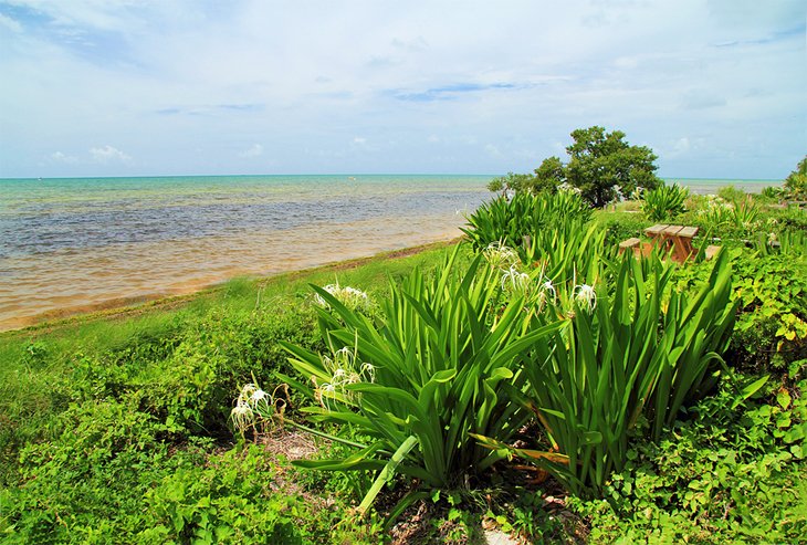 Long Key State Park, Florida Keys