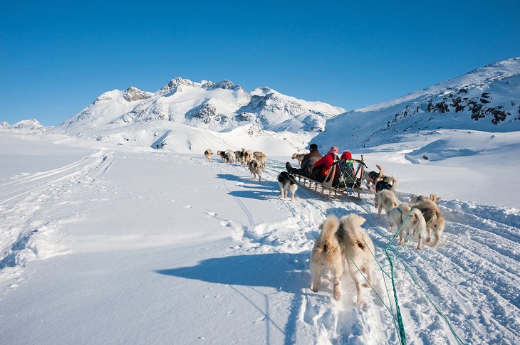 Dog sledding tour in Tasiilaq, Greenland
