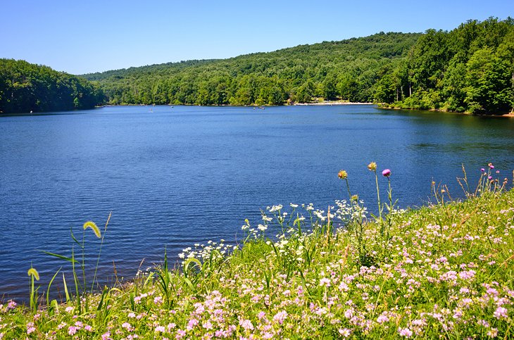 Cunningham Falls State Park