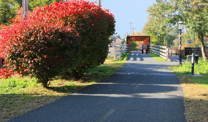 Quiet pedestrian walkway in Northampton, Massachusetts