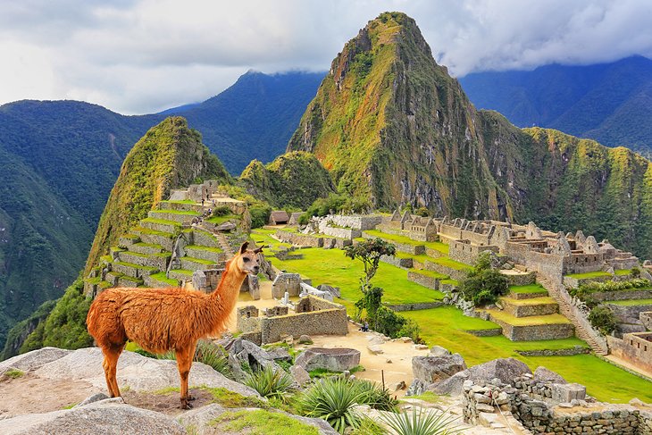 Machu Picchu